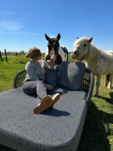ferien ostfriesland pferde
