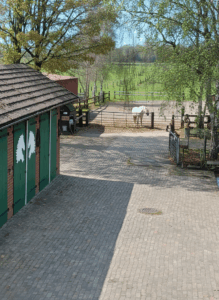 Blick aus dem Küchenfenster